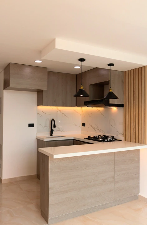 proyecto-salitre-living